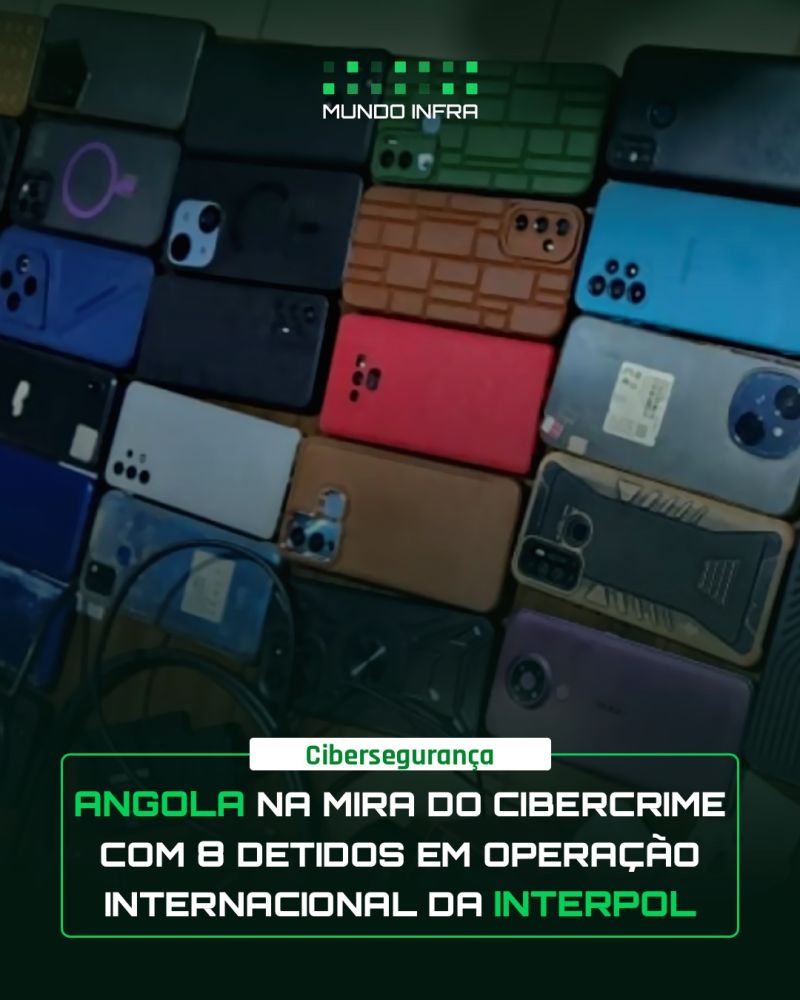 Angola na Mira do Cibercrime com 8 Detidos em Operação Internacional da Interpol